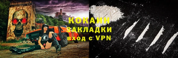 сатива Инта