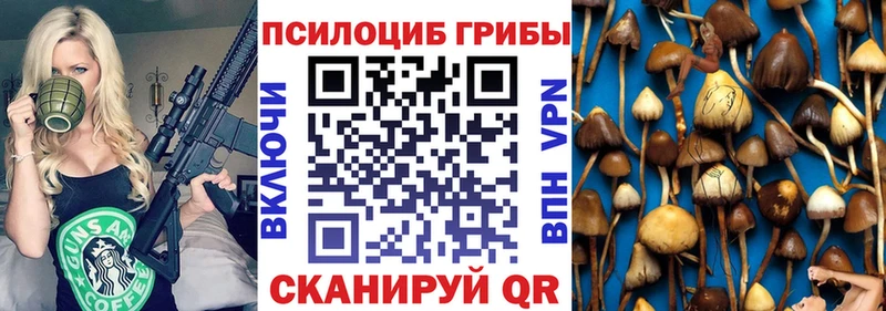 Псилоцибиновые грибы GOLDEN TEACHER  Бологое 
